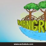 Kontes Desain Kaos Mangrovestasi Berhadiah Uang Total 10 JUTA
