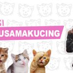 Kompetisi Gak Malu Sama Kucing