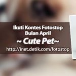 Kontes Foto Cute Pet Berhadiah Uang 500 Ribu