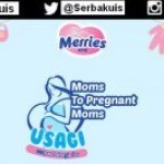 Moms to Pregnant Moms