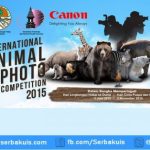 International Animal Photo Competition 2015