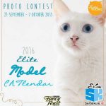 Kontes Foto Elite Model CATlendar 2016 Berhadiah Menarik