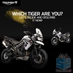 Kuis Triumph New Tiger 800 Berhadiah Sport Camera