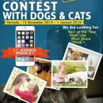 Aneka Petindo Photo Contest With Dogs & Cats