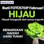 Kontes FotoStop Hijau Februari 2016 Berhadiah Uang 500K