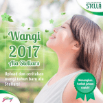 Wangi 2017 Ala Stellars