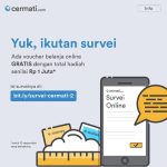 Survei Online