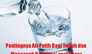 Gak Hanya Cegah Dehidrasi! Inilah Akibat Banyak Minum Air Putih