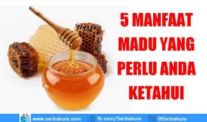 5 Manfaat dan Khasian Madu Bagi Tubuh Yang Perlu Anda Ketahui