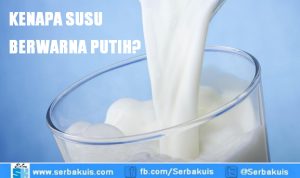 Kenapa Susu Berwarna putih? Ini jawabannya