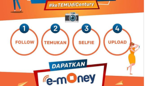 temu