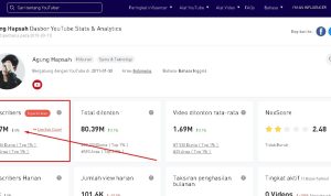 Cara Melihat Jumlah Subscriber Channel Youtube Yang di Sembunyikan