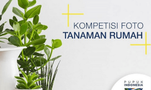 Kompetisi Tanaman Rumah Berhadiah Nikon 1 J5 Samsung J7 Pro dll