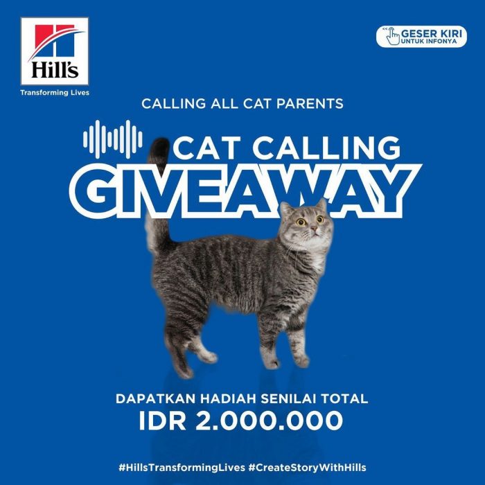 Cat Calling Giveaway Berhadiah Senilai Total 2 JUTA Rupiah