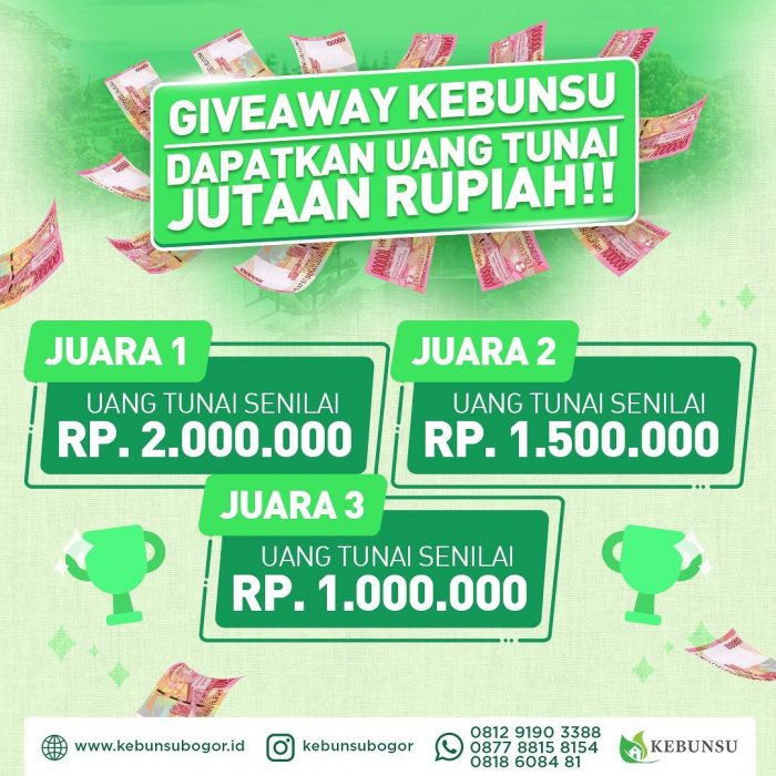 Giveaway Kebunsu Berhadiah Uang Tunai Total Rp 4,5 JUTA Rupiah