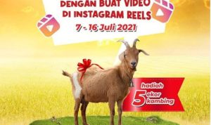 Lomba Video BEJO Berbagi KehangatanBerhadiah 5 Ekor Kambing Gratis