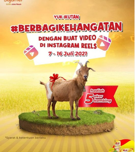 Lomba Video BEJO Berbagi KehangatanBerhadiah 5 Ekor Kambing Gratis