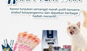 Kontes Foto Kucing Happy Cat Berhadiah Uang & Voucher Jutaan Rupiah