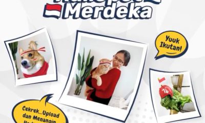 Lomba Foto Hallopet Merdeka Berhadiah Total 1 Juta Rupiah