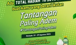 Tantangan Paling Adem Berhadiah Total 10 Juta Untuk 10 Pemenang