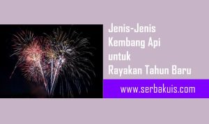 Jenis-Jenis Kembang Api untuk Rayakan Tahun Baru