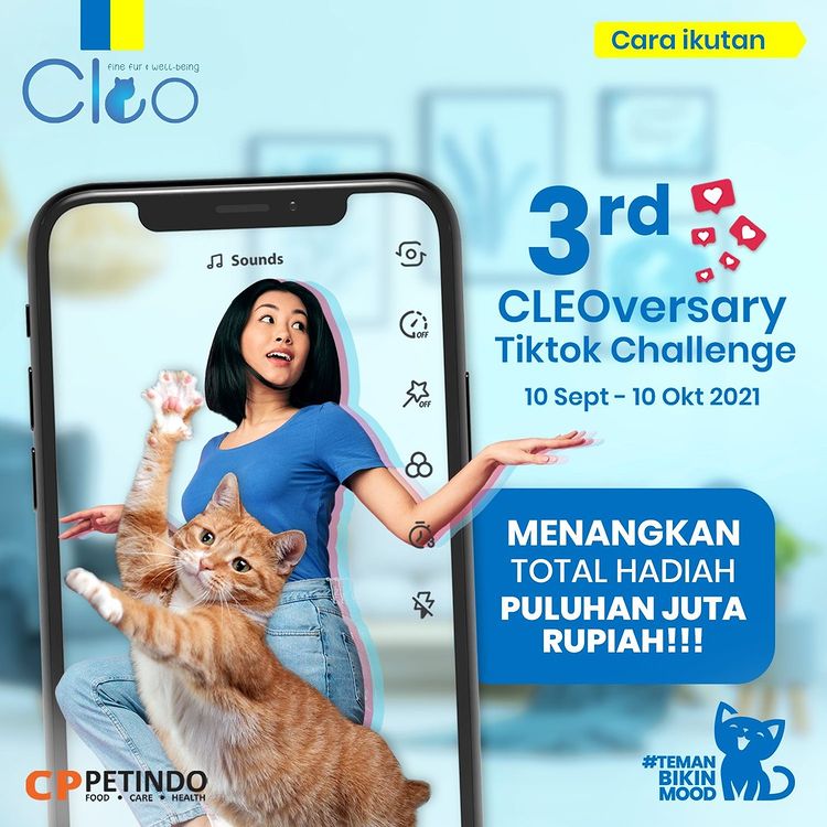 TikTok Challenge Ultah Cleo ke-3 Berhadiah Uang Tunai Puluhan Juta