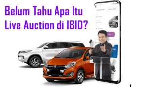 Belum Tahu Apa Itu Live Auction di IBID? Ini Penjelasan Lengkapnya