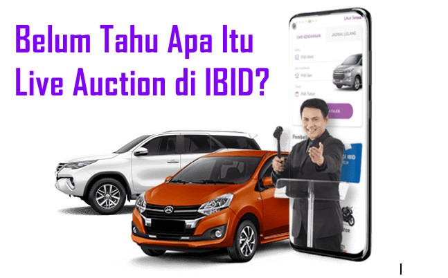 Belum Tahu Apa Itu Live Auction di IBID? Ini Penjelasan Lengkapnya