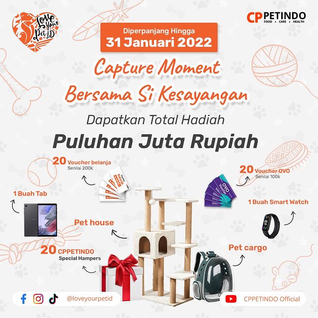 Lomba Video Hewan Peliharaan Berhadiah Tablet, Smartwatch, OVO, dll