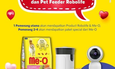 Lomba Reels Valentine Bareng Kucing Berhadiah Produk Robolife & Me-O