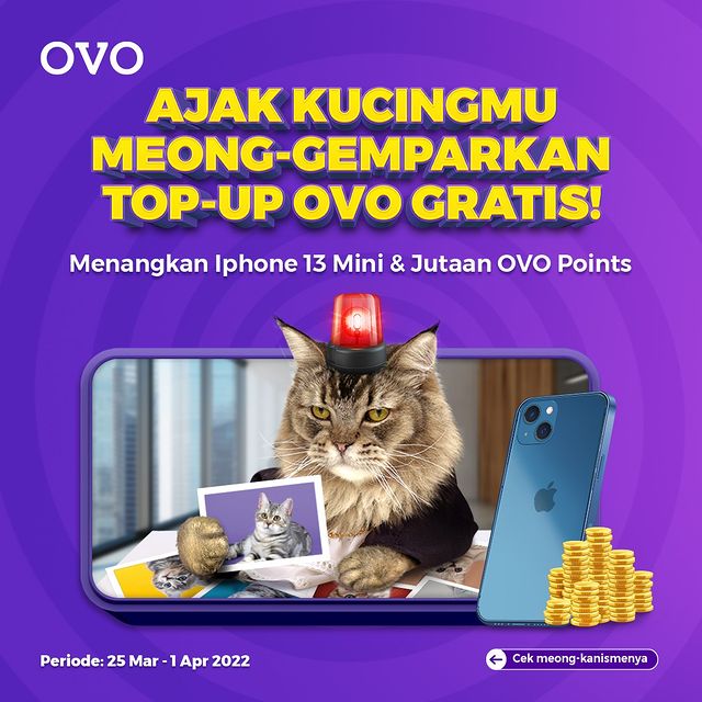 Lomba Foto Bareng Kucing Berhadiah iPhone 13 Mini & OVO Points