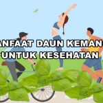 Manfaat Daun Kemangi Untuk Kesehatan