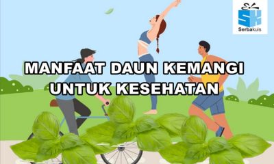 Manfaat Daun Kemangi Untuk Kesehatan
