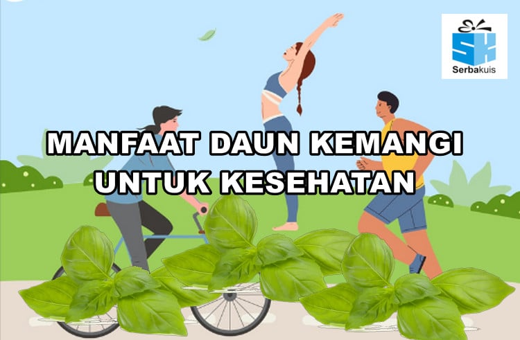  Manfaat Daun Kemangi Untuk Kesehatan 