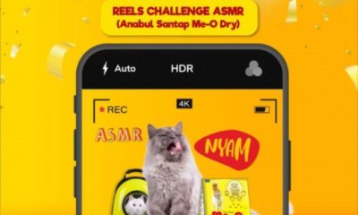 Lomba Video Kucing ASMR Makan Me-O Berhadiah Astronot Bag