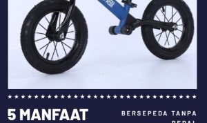 5 Manfaat Balance Bike Untuk Si Kecil