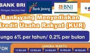 Bank yang Menyediakan Kredit Usaha Rakyat (KUR)